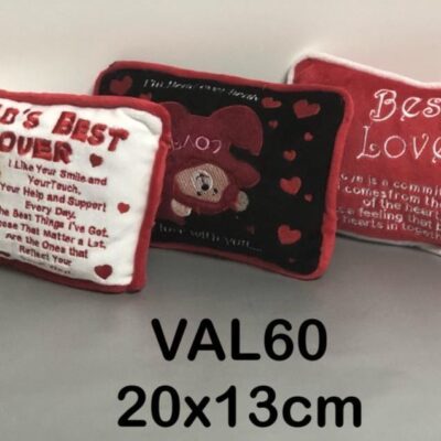 Valentine Sequence Cushion