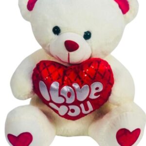 l Love You Teddy Bear